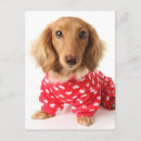 Recherche de dachshund saint valentin cartes Valentine