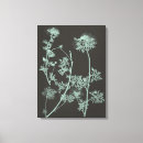 Recherche de charbon de bois posters Menthe
