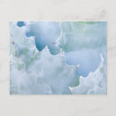 Recherche de sonora cartes postales Succulent