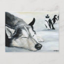 Recherche de husky cartes postales Animal