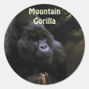 Recherche de gorille de montagne autocollants Faune