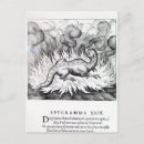 Recherche de salamandre cartes postales École