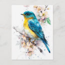 Recherche de oiseaux chanteurs cartes postales Aquarelle