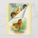 Recherche de poussins de bébé cartes postales Heureux