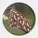Recherche de tacheté magnets Papillon