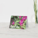 Recherche de photographie florale vœux cartes Photographie de la nature
