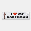 Recherche de dobermann voiture autocollants Chiot