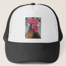 Recherche de coq casquettes Oiseau
