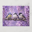 Recherche de oiseau chanteur cartes postales Toute personne