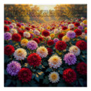 Recherche de chrysanthème posters Fleur