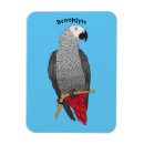 Recherche de perroquets magnets Oiseau