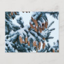 Recherche de pinecone cartes postales Hiver