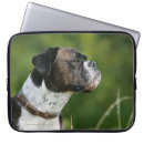 Recherche de chien de boxeur coques Profil