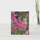 Recherche de en anglais remerciements cartes Fleurs