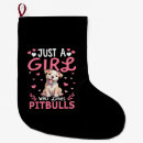 Recherche de pitbull chaussette de noël Dog