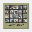 Recherche de animaux sauvages magnets Lémur