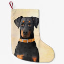 Recherche de pinscher chaussette de noël Dobie