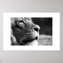 Recherche de lion noir blanc art Animal