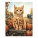 Recherche de chat gingembre posters Rustique
