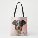 Recherche de coussin accessoires Animal