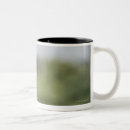 Recherche de babouin tasses Faune