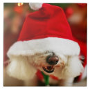 Recherche de chien de père noël carreaux Animal