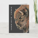 Recherche de bison anniversaire cartes Buffle