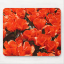 Recherche de tulipe orange tapis souris Fleurs