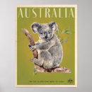Recherche de gomme posters Koala