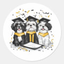 Recherche de lhasa apso autocollants Pour tous