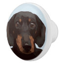 Recherche de chiens de weiner Teckels