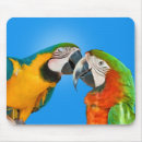 Recherche de aras tapis souris Faune