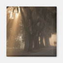 Recherche de savane magnets Arbre