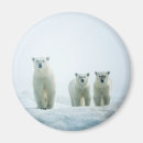 Recherche de curiosité magnets Animal