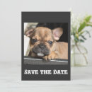 Recherche de bouledogue francais invitations Pour tous