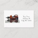 Recherche de canard en bois cartes visite Sauvagine