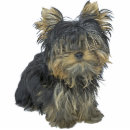 Recherche de terrier photo sculptures Chien