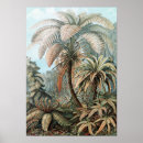 Recherche de science posters Vintage