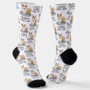 Recherche de corgi chaussettes Pembroke