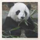 Recherche de panda géant dessous de verres Ours