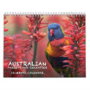 Recherche de perroquet calendriers Coloré