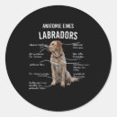 Recherche de chiot labrador autocollants Animal de compagnie