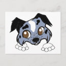 Recherche de merle bleu cartes postales Dog
