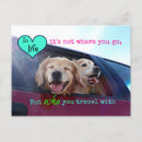 Recherche de friendship cartes postales Dog