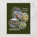 Recherche de lanzarote posters Cactus