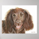 Recherche de animal travail posters Pour tous