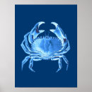 Recherche de sea life posters Crabe