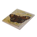 Recherche de coyoacan carreaux Y calderon