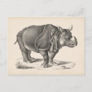 Recherche de animaux sauvages cartes postales Rhinocéros