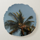 Recherche de cocotiers coussins Arbre
